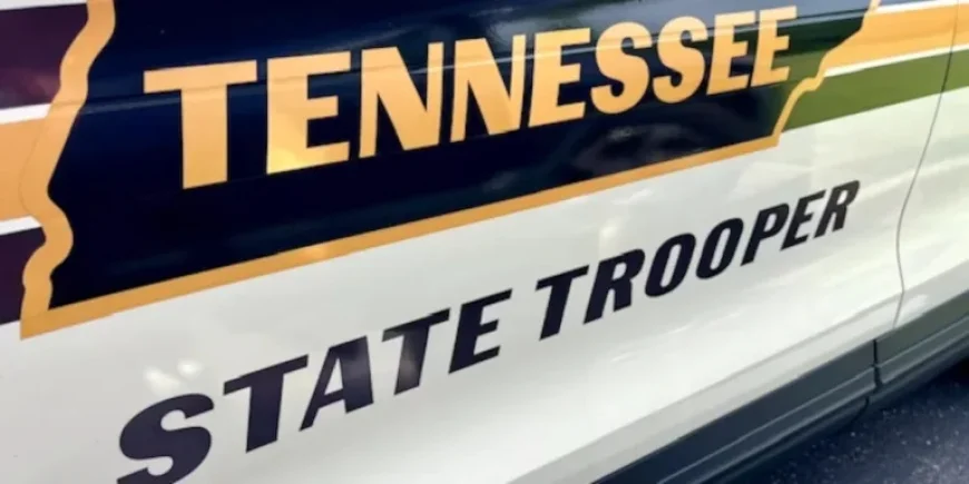 Tree Obstructions and Crashes Disrupt Roads in East Tennessee