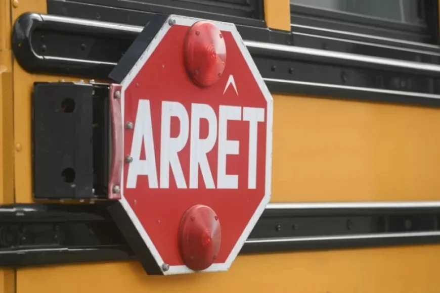 Transporters Deplore Ignored School Bus Stop Signs