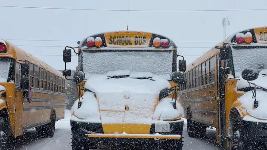 Waterloo Region, Guelph Schools Close Monday Amid Winter Storm