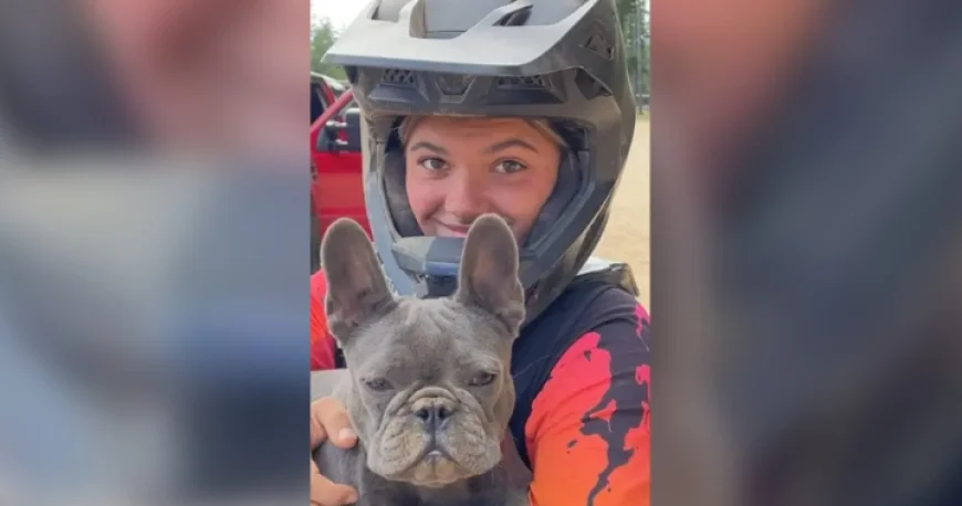 Australia to Cull Dingoes Found Encircling B.C. Teen