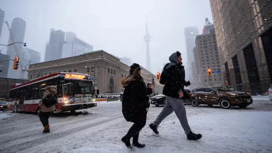 GTA Roads Hampered by Hundreds of Crashes, Schools Shut Amid Storm Cleanup