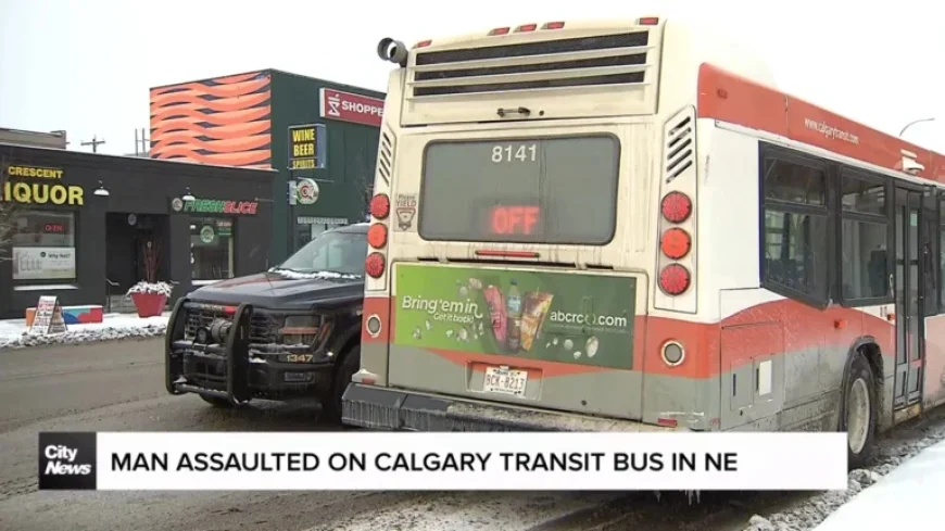Man Assaulted on Calgary Transit Bus in Northeast Saturday