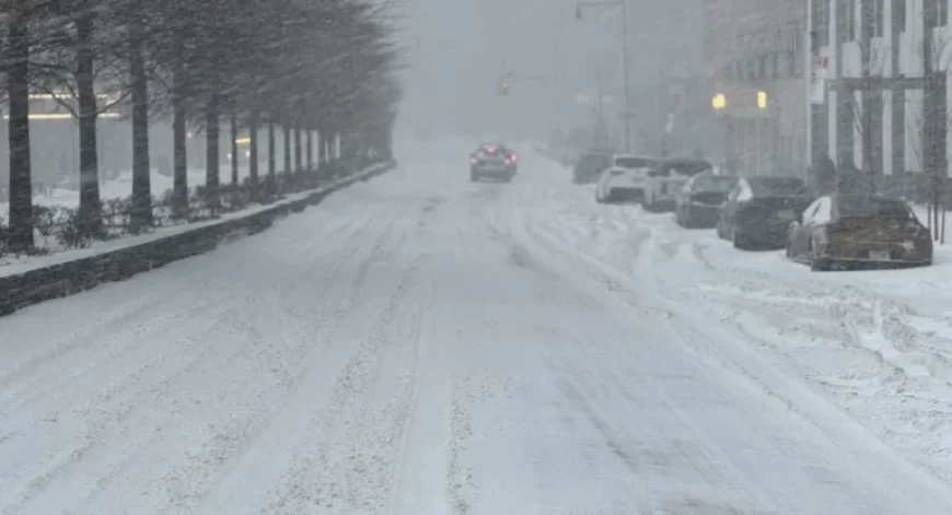 NYC Investigates 6 Deaths Potentially Linked to Extreme Cold