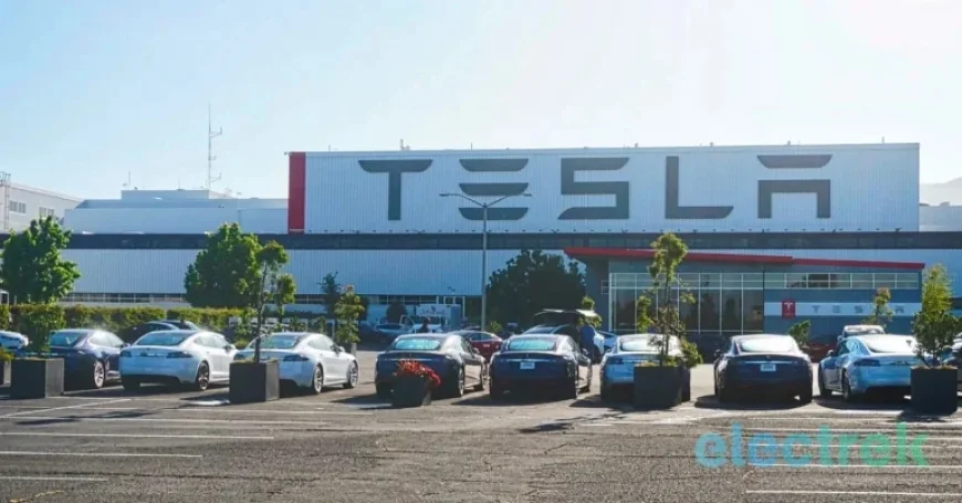 Tesla Faces Continued Exodus with Latest Loss of Manufacturing Director