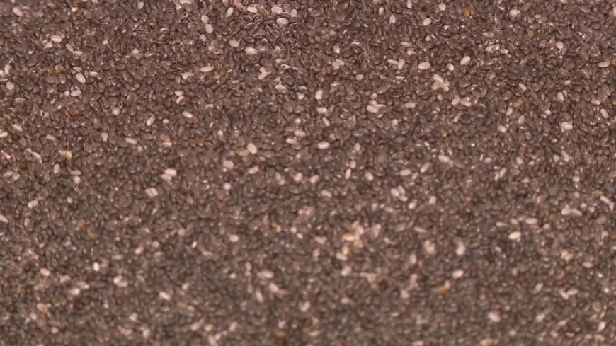 Nationwide Chia Seeds Recall Due to Salmonella Risk