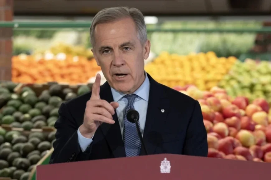 Government Enhances GST Credit for Low-Income Families