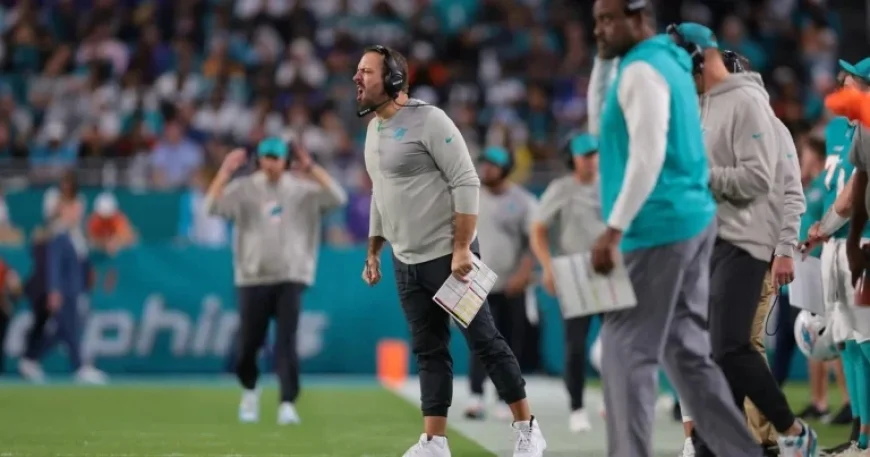 Eagles Interview Former Dolphins OC Frank Smith for Open Position