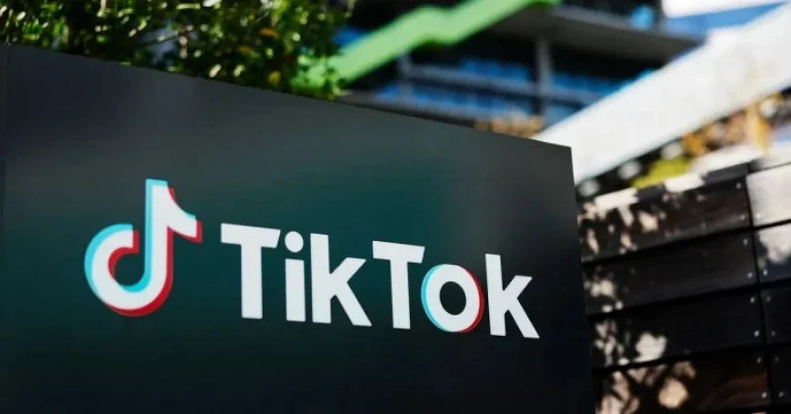 US TikTok Owners Face Trust Crisis After Data Center Outage