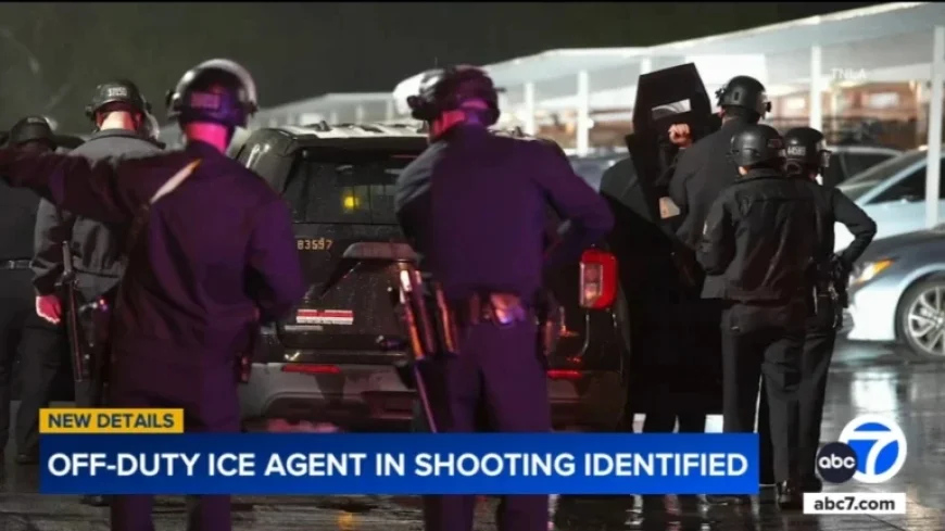 Court Documents Reveal Off-Duty ICE Agent in Fatal Northridge Shooting