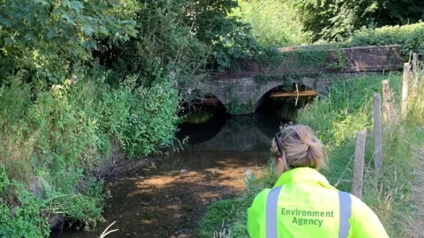 Environment Agency Seeks Proof of Flooding in West Somerset Properties