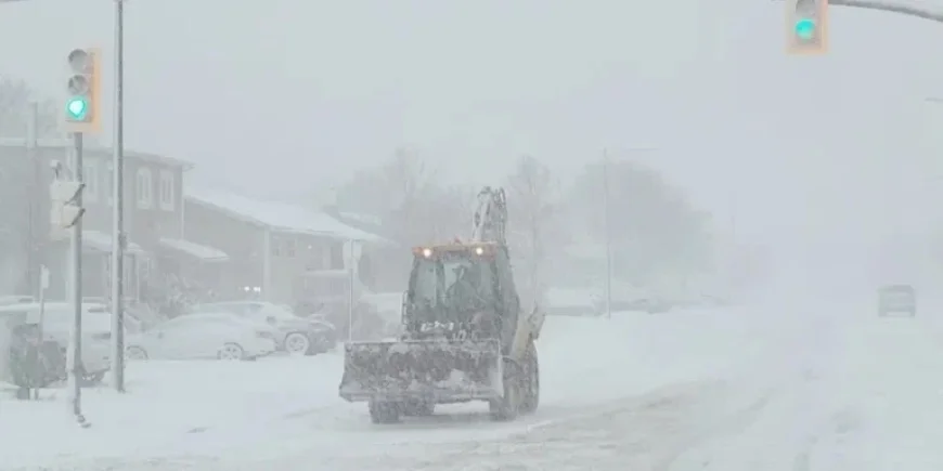 Avalon Faces 12-25 cm Snowfall from Mainland Storm Today