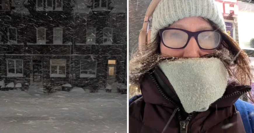 Toronto Woman Walks 8km After TTC Fails Amid Record Snowstorm