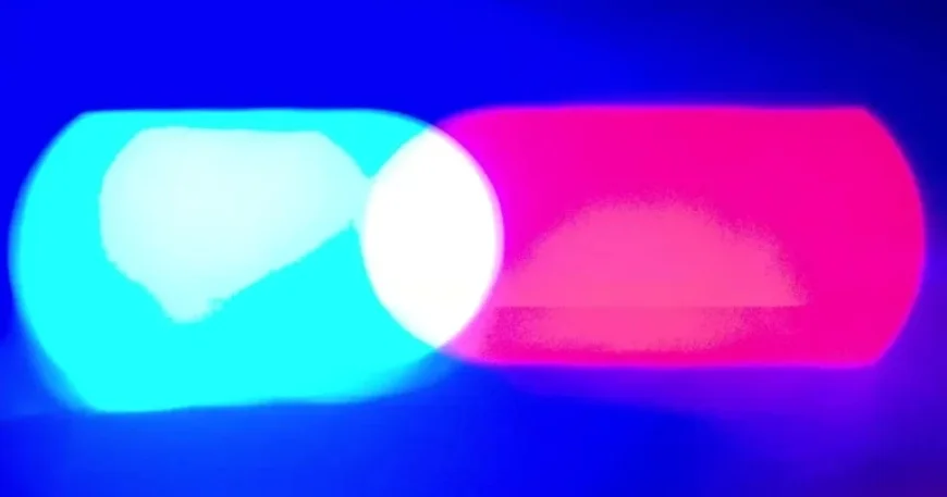 Women Accused of Biting Border Patrol Agents After Alex Pretti Shooting