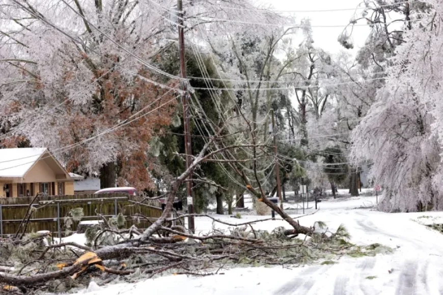 Entergy Louisiana Reveals Power Restoration Timeline After Winter Storm