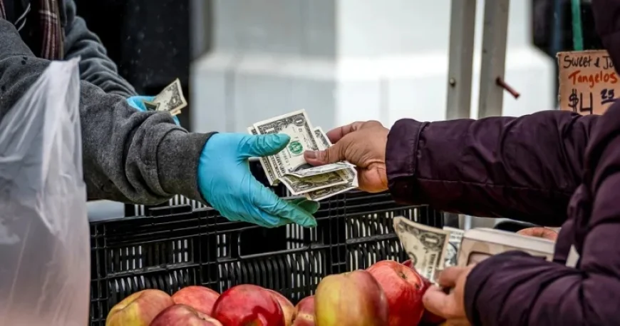 U.S. Dollar Falls as Trump Dismisses Concerns Over Recent Decline