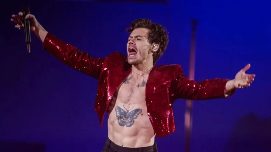 Harry Styles Fans Outraged by ‘Exorbitant’ Tour Ticket Prices