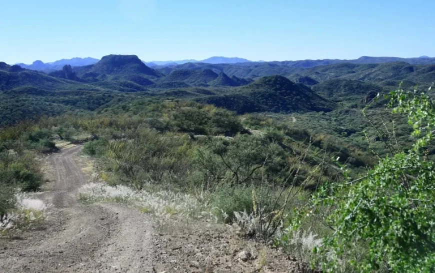 Border Patrol Involved in Arizona Shooting Leaves One Critically Injured