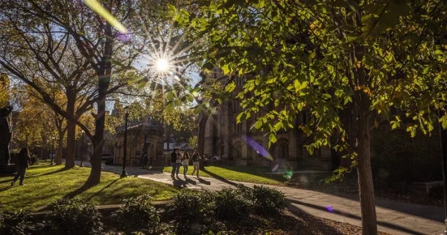 Yale Provides Free Tuition for Families Earning Under $200,000