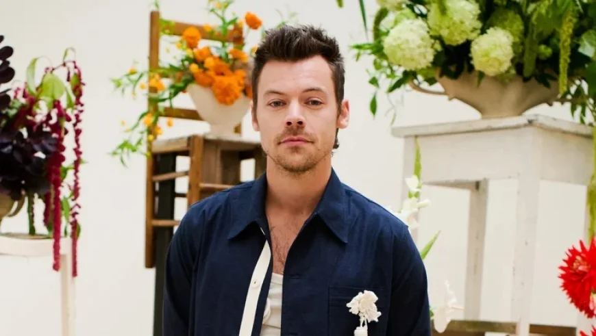 11.5 Million Register for Harry Styles’ Madison Square Garden Concerts