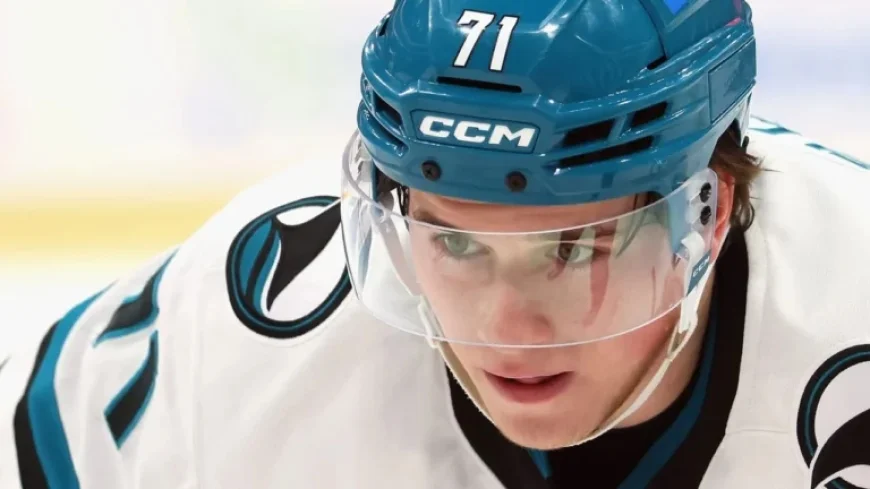 Celebrini Shines with Sharks in Second NHL Season