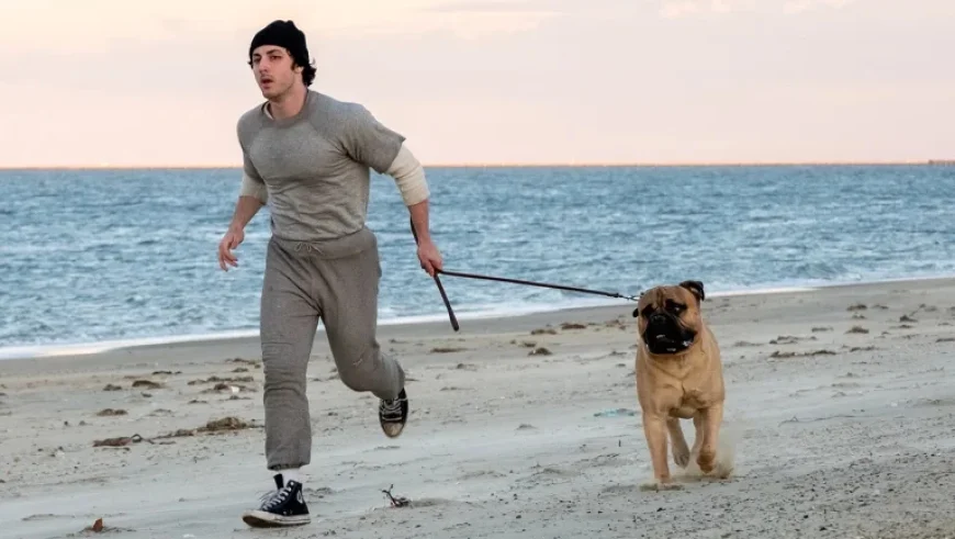 ‘I Play Rocky’ Set for Highly Anticipated Thanksgiving 2026 Release