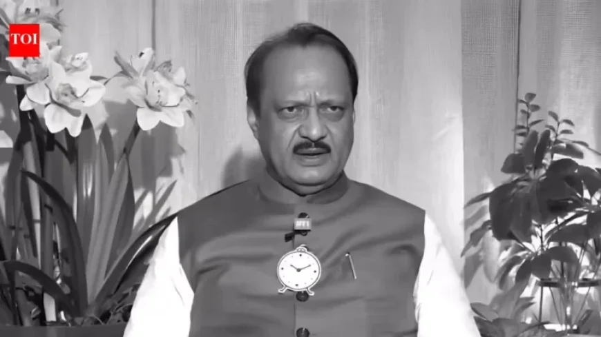 Ajit Pawar, 3 Others Killed in Baramati Plane Crash During Emergency Landing