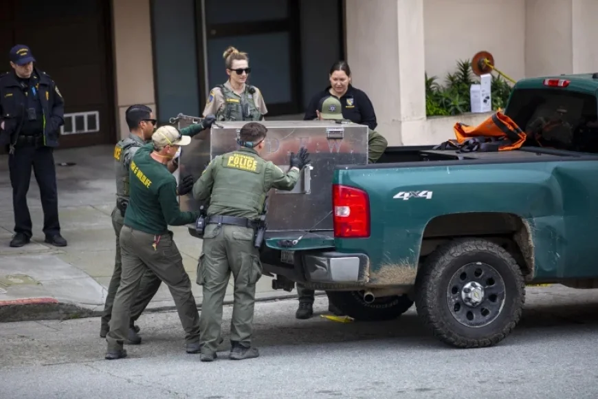 San Francisco Mountain Lion Tranquilized and Relocated Safely