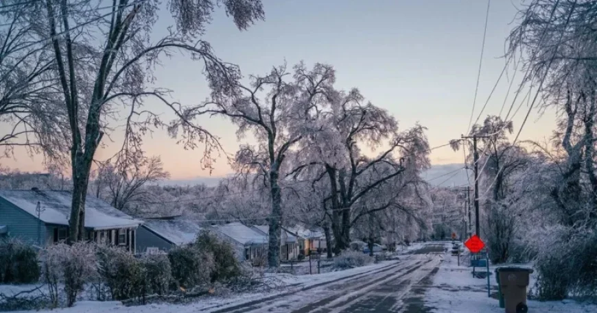 Rumors and Misinformation Fuel Nashville Ice Storm Chaos