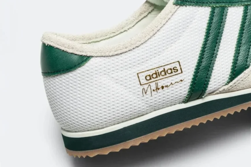 Top 7 Must-Have Sneakers: From Adidas to Vans