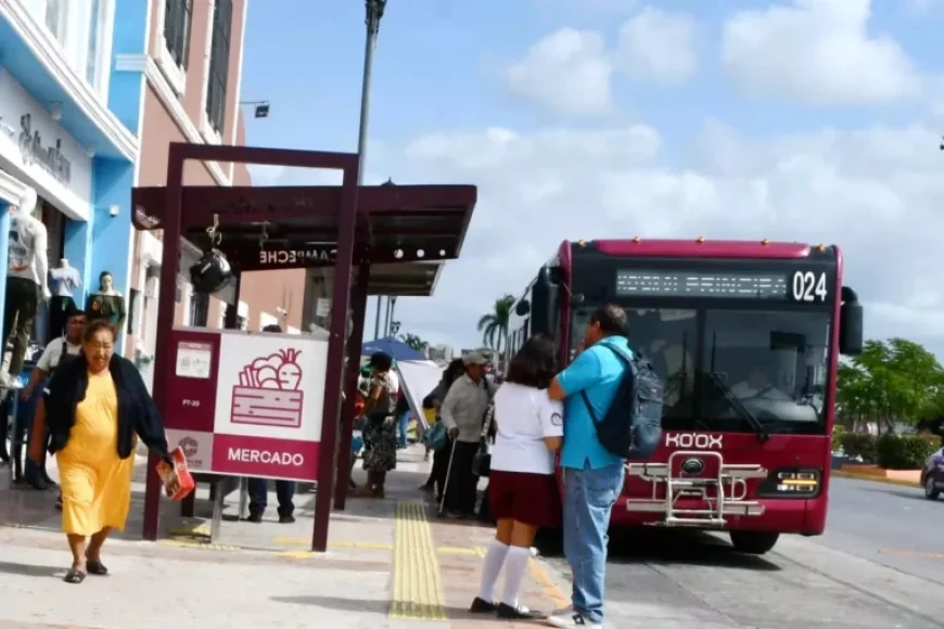 Ko’ox Transport in Campeche Accessible Without a Card