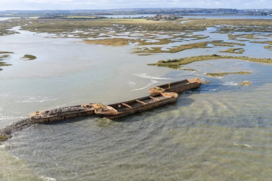 National Trust Submerges Barges to Create Bird Sanctuary Island