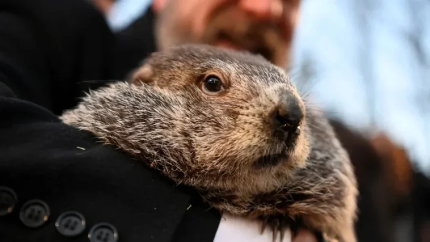 Groundhog Day 2026: Date, Traditions, and Fun Facts Uncovered