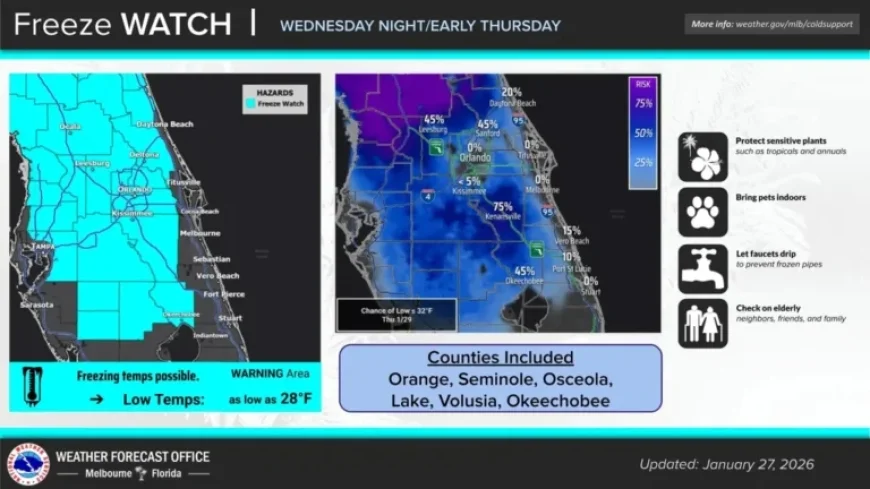 Walt Disney World Prepares for Uncommon Teen Wind Chills This Sunday