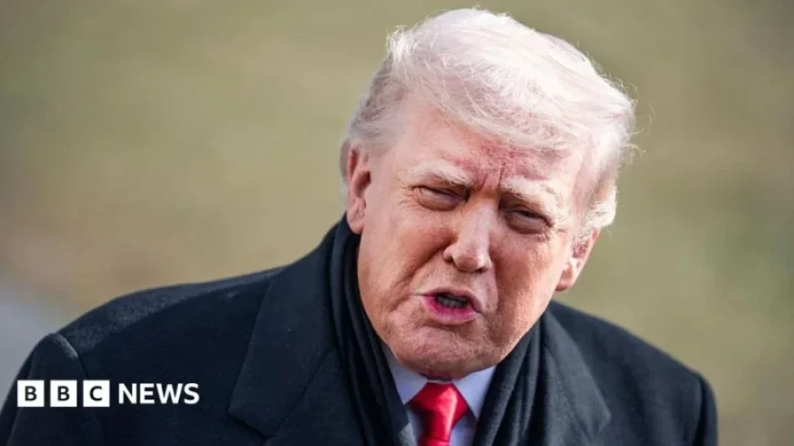 Trump Warns Minneapolis Mayor Against Risky Immigration Policies