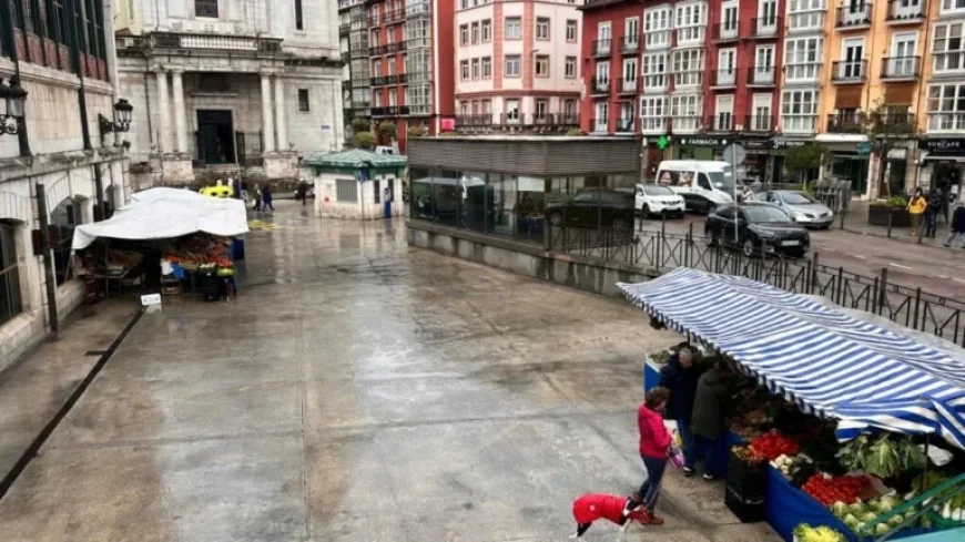 PSOE Demands PP Explain Decline of La Esperanza Farmers’ Market