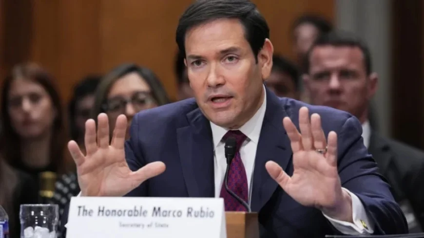 Senate Grills Rubio on Venezuela Policies