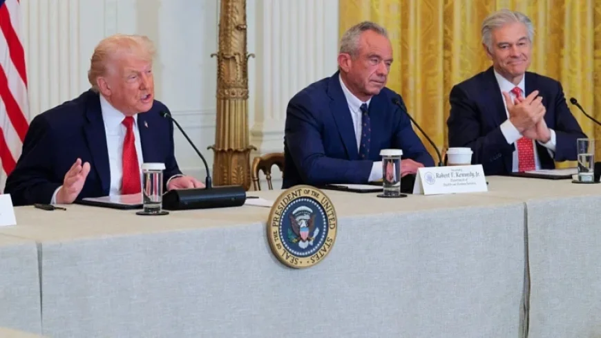 States to Utilize $50 Billion for Enhancing Rural Health Services: NPR