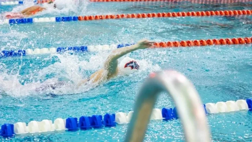Northeastern Defeats Swim & Dive in CAA Season Finale