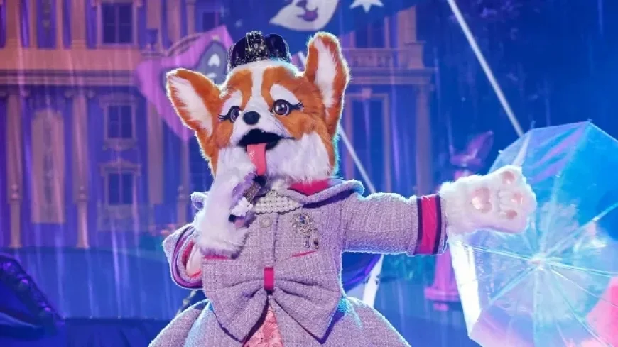 Unexpected Influencer Unveiled as Queen Corgi on The Masked Singer?