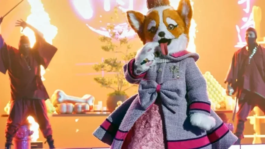 Queen Corgi Unmasked on ‘The Masked Singer’ After Early Exit