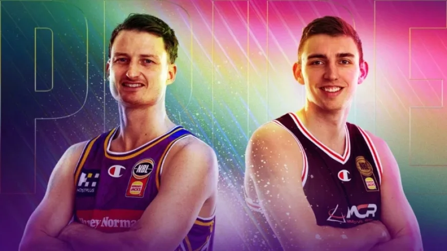 Sydney vs. Illawarra: Viewing Guide and Key Talking Points