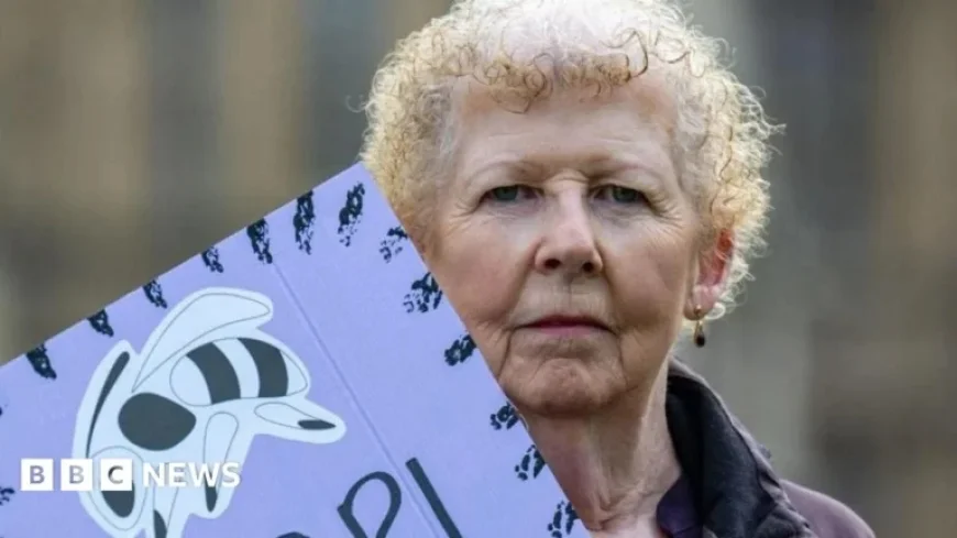 Ministers Deny Waspi Compensation Requests Following Review