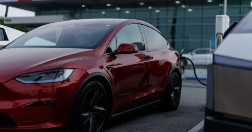 Tesla Reports First Annual Revenue Decline Under Elon Musk