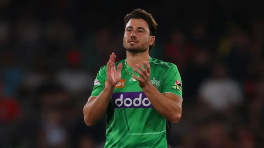 Australia T20 Update: Marsh, Stoinis Shine; Maxwell Faces Challenges