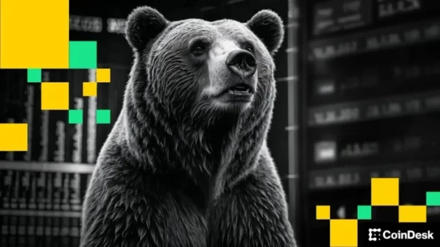 Weaker Dollar Fails to Boost BTC Prices: Here’s Why