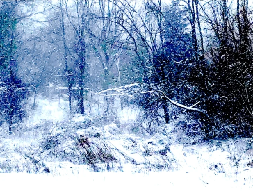 Monday Weather Alert: Icy Roads, Snow, Frost, and Beach Erosion Expected