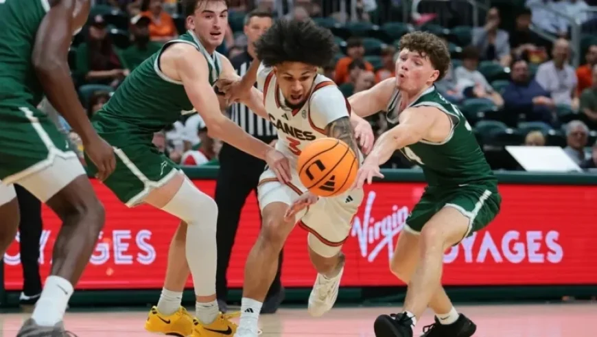 Watch Jacksonville Dolphins vs. Lipscomb Bisons: Live Stream, TV, Game Time Jan 29