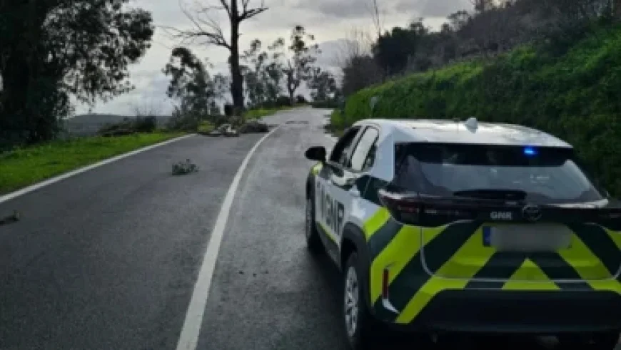 Richard Orrell’s Top Recommendations for January 29, 2026