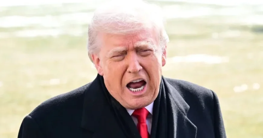 Trump, 79, Launches Midnight Tirade Against Late Nurse Alex Pretti