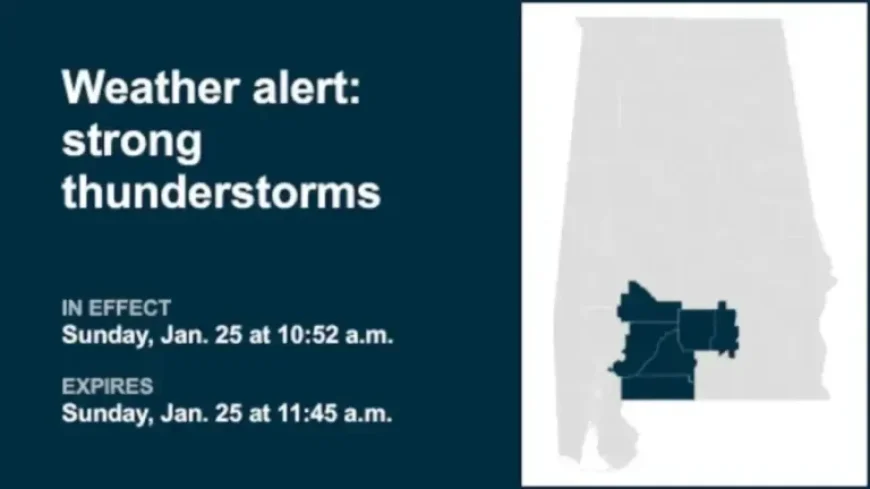 Strong Thunderstorms Predicted for Mobile and Baldwin This Sunday